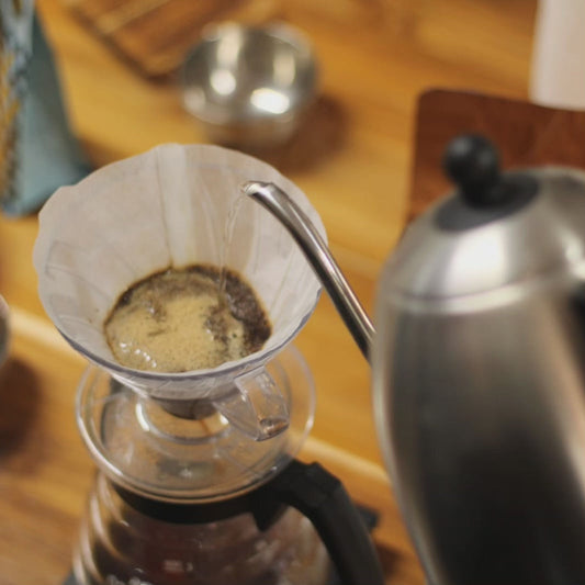 Manual simplificado de V60