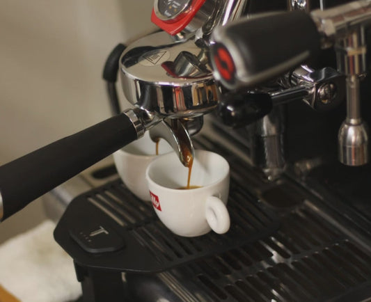 Realmente estás tomando café de especialildad