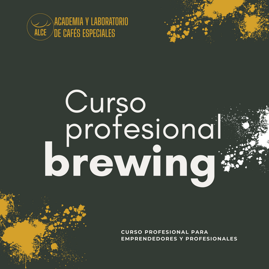 Brewing profesional - Jueves 18 y viernes 19 de septiembre