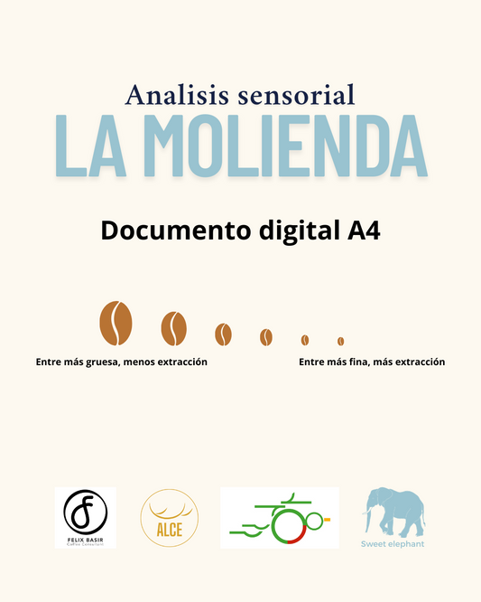 PosterAanalisis sensorial - Digital A4